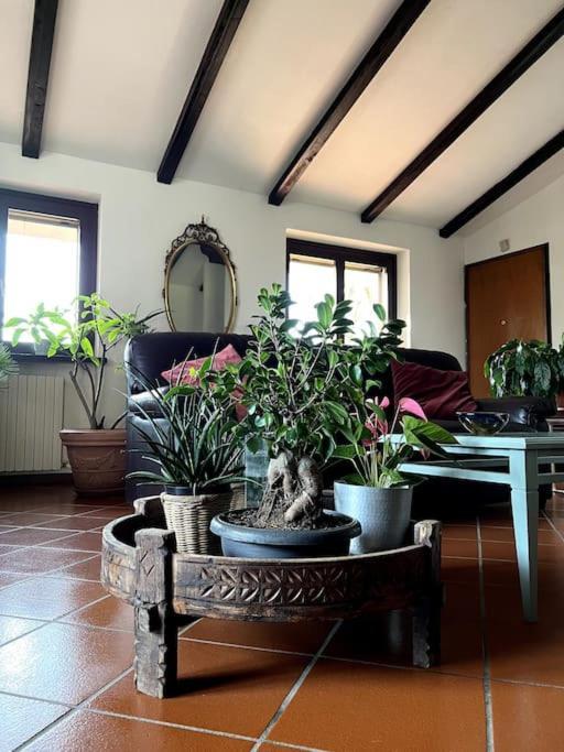 Apartment In Villa La Carruba Rivergaro Exterior photo